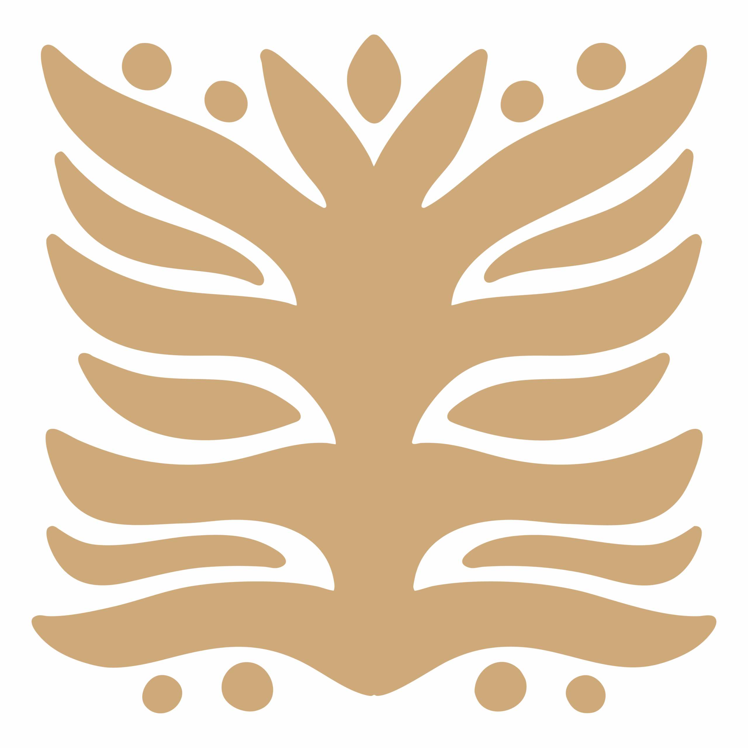 Framework Wellness Autumn Logo